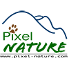 Logo Festival Pixel Nature